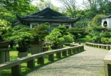 Bonsai trees in front of house with pathway in chinese traditional garden