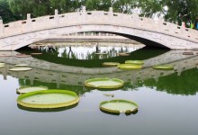 Brücke in chinesischem Garten in China